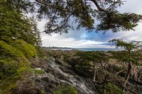 Wild Pacific Trail